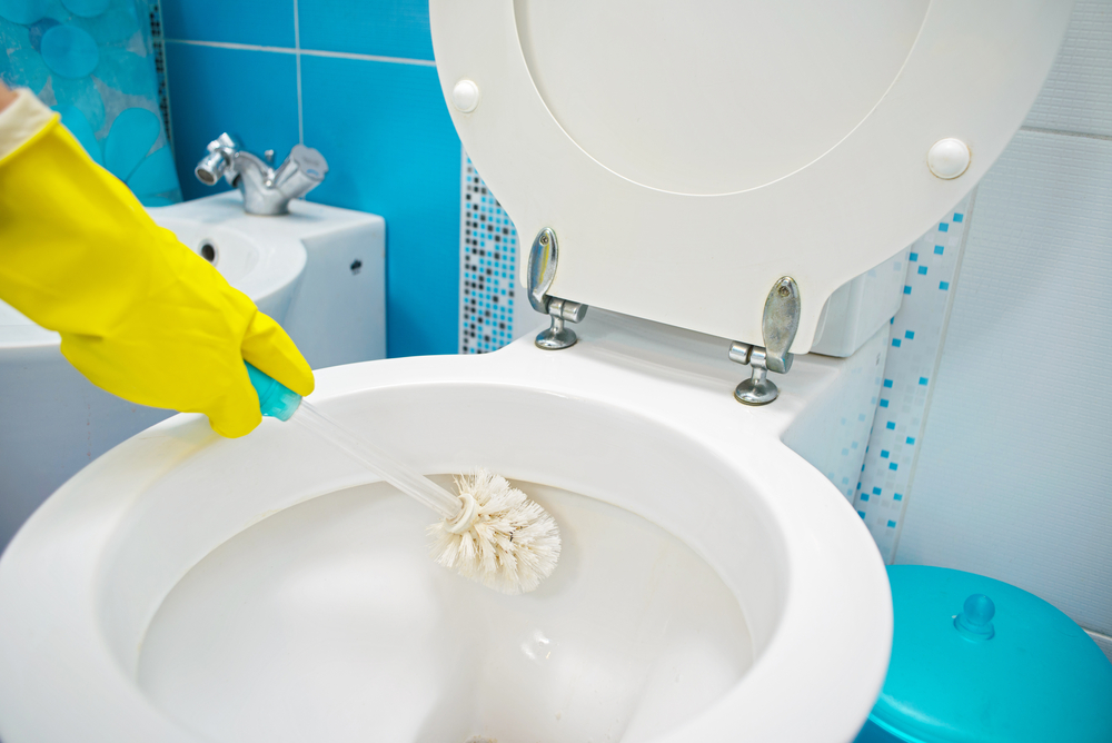 Limpieza de baños, cada cuánto limpiar las paredes del baño - Varada