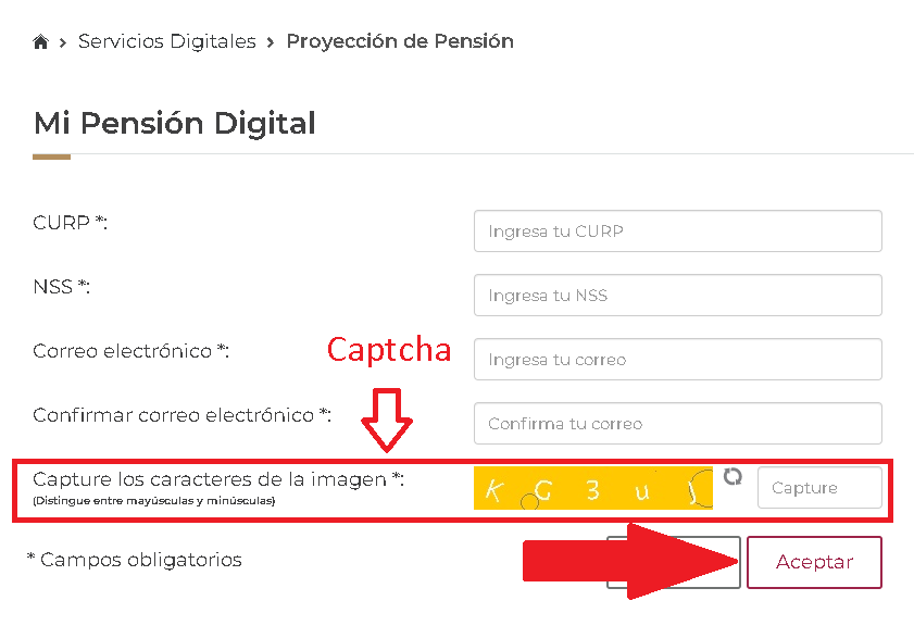 mi pensión digital imss